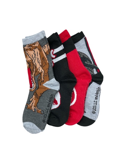 [43JA001BCCFM-PGH] Paq. 4 pares de calcetas